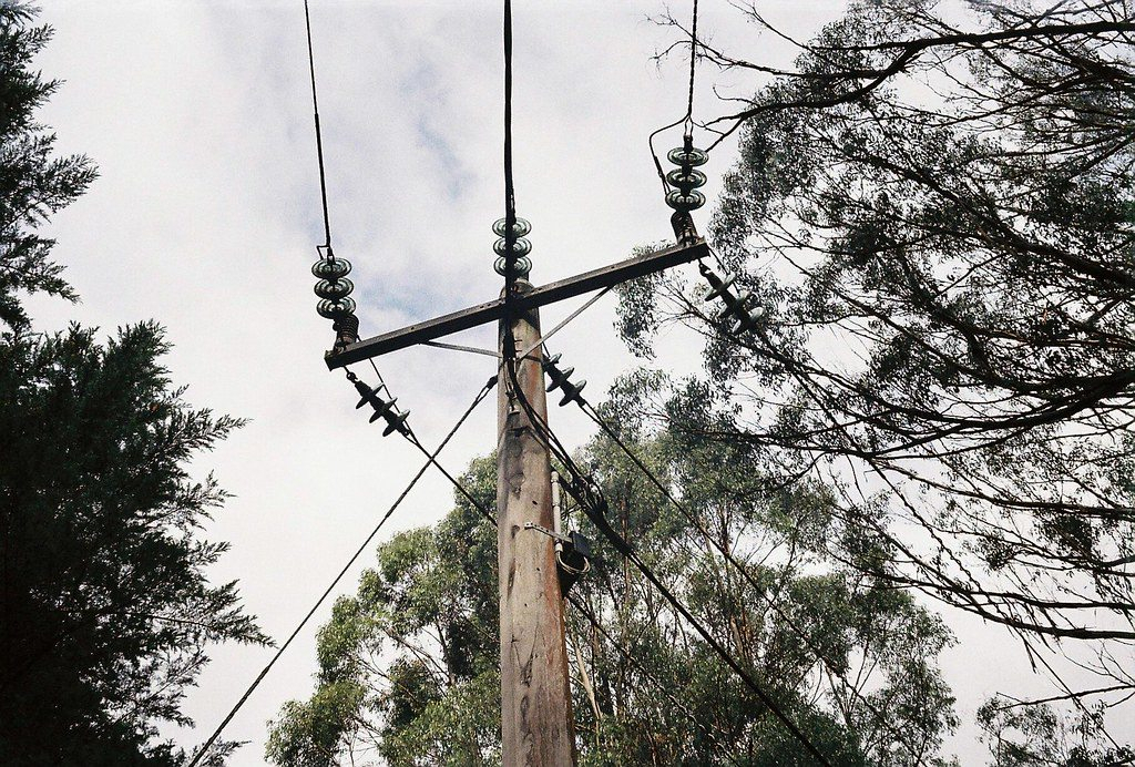 trefelling trefelling